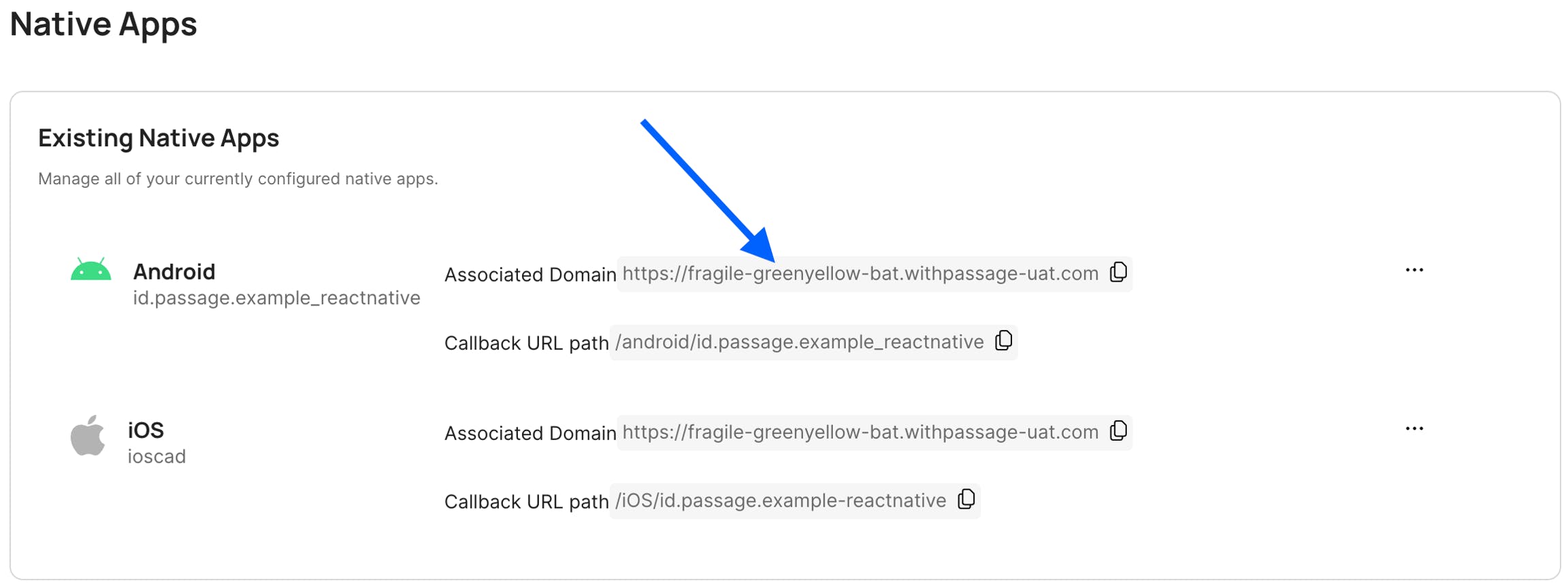 Copy the Associated Domain value in Console